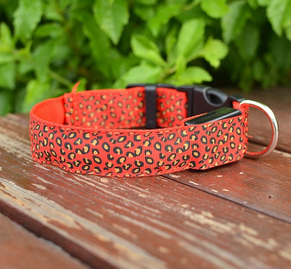 https://www.cjdropshipping.com/product/led-dog-collar-safety-adjustable-nylon-leopard-pet-collar-p-389BF088-5B5E-46C8-83F7-35B4361985E6.html
