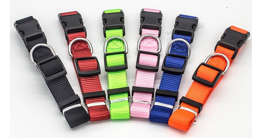Adjustable Stylish Pet Collar For Everyday Wear