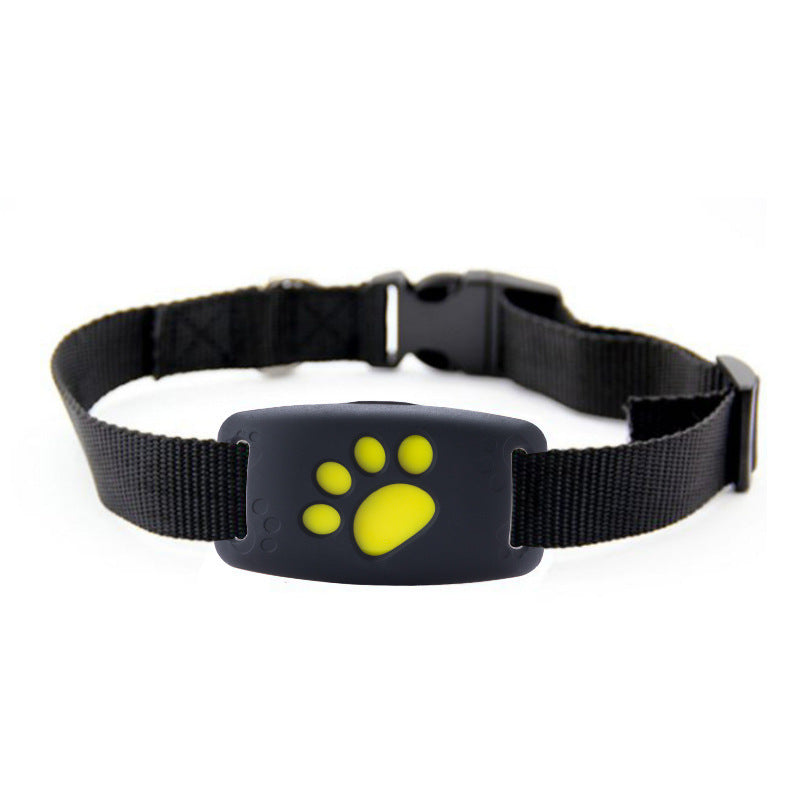 Compact GPS Pet Tracker With Real Time Location Updates