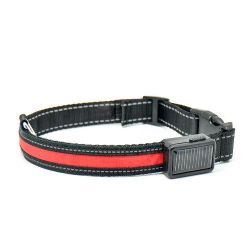 Fluorescent Dog Collar For Nighttime Visibility