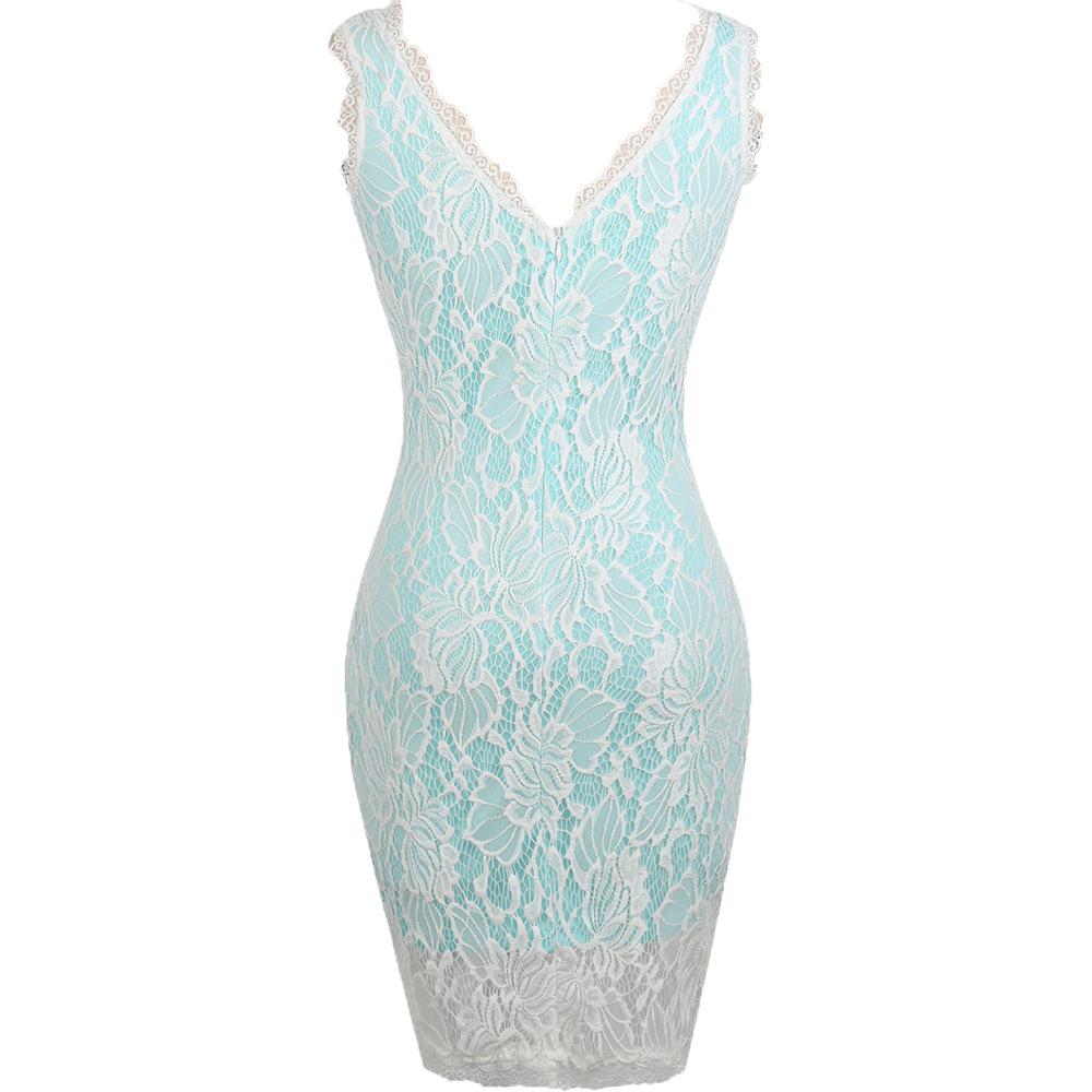 Embroidered Lace Sleeveless Sheath Dress