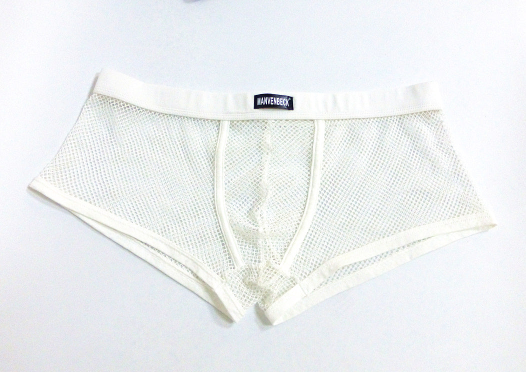 Sheer Fish Net Boxer Briefs