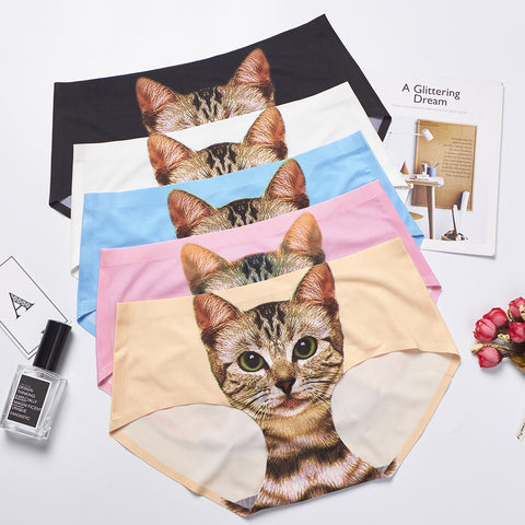 Kitty Connoisseur New Panty