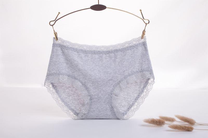 Lace Trim High Rise Hipster Panty-Gray-Theone Apparel
