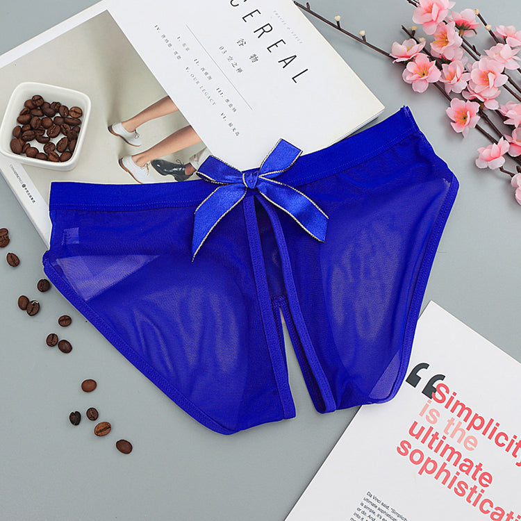 See Through Mesh Briefs with Butterfly Style Cutouts-Blue-Theone Apparel