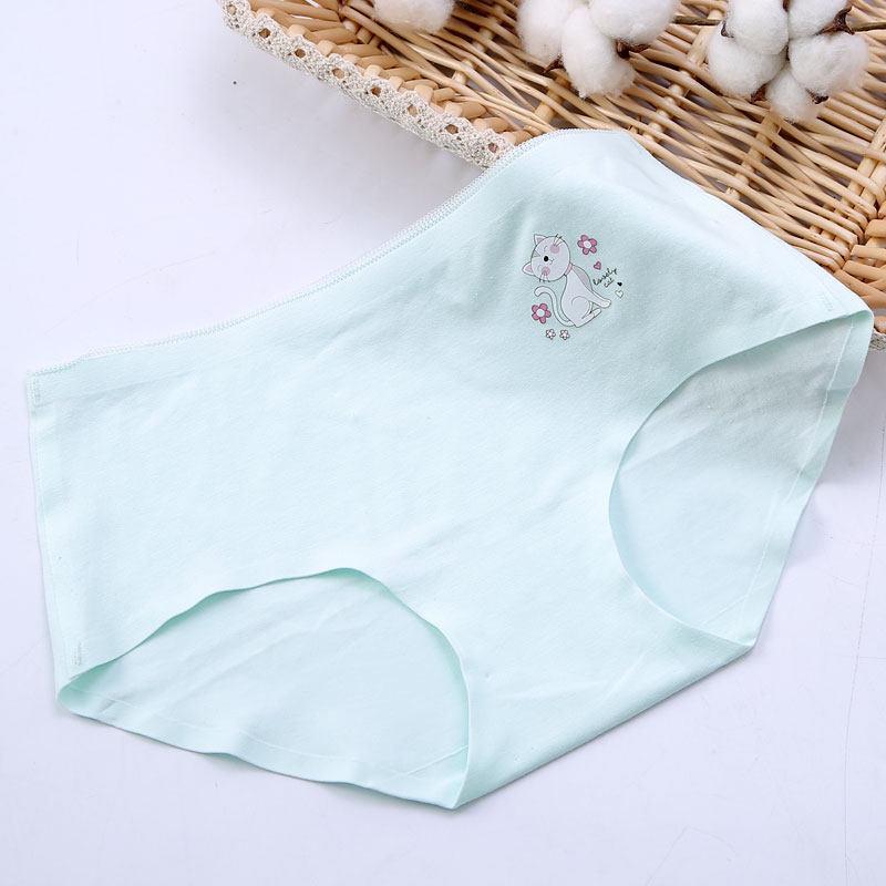 The Cat's Meow Novelty Hipster Panty-Theone Apparel