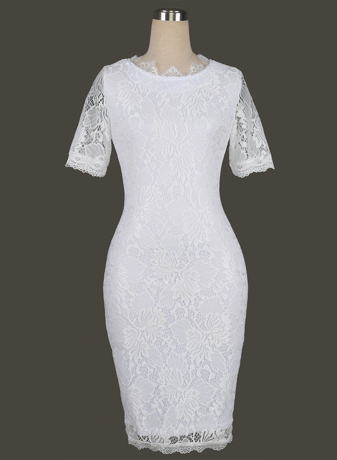 Lace Overlay Scallop Neck Sheath Dress